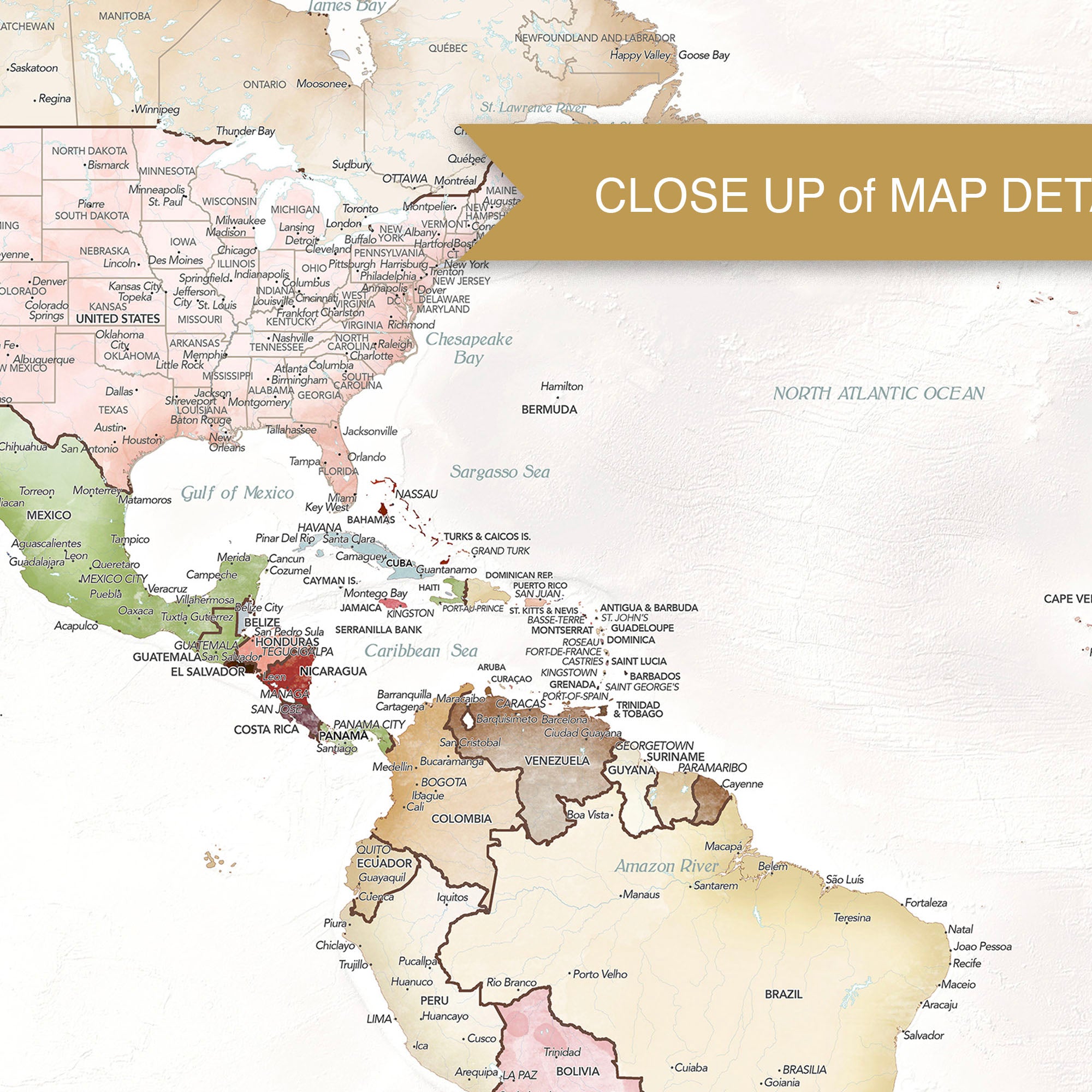 Close-up of pastel anniversary world map showing detailed countries and ocean bathymetry.